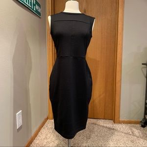 Business professional knee length dress